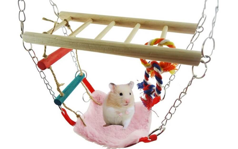 Best Chew Toys for Syrian Hamsters