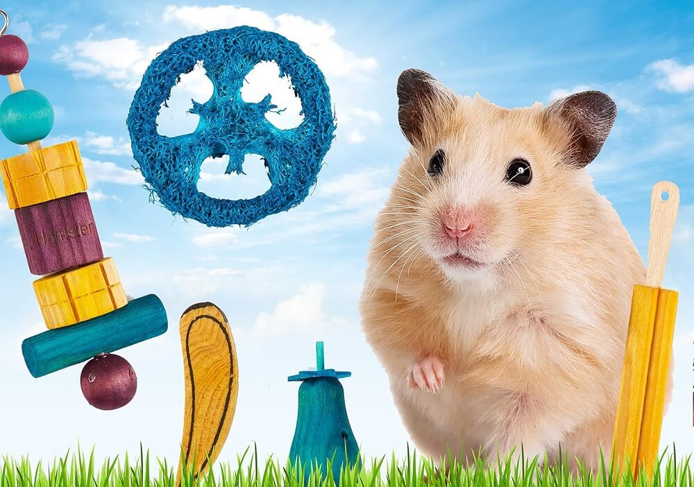 Best Enrichment Toys for Hamsters