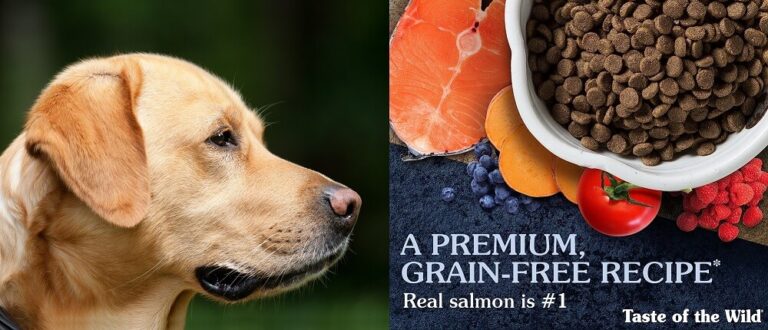 Best Grain Free Dog Food for Sensitive Stomachs