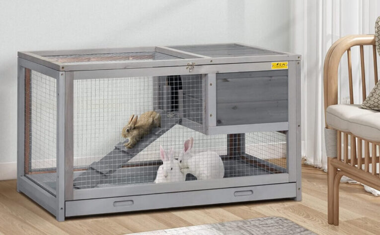 Best Indoor Rabbit Hutch for Large Rabbits