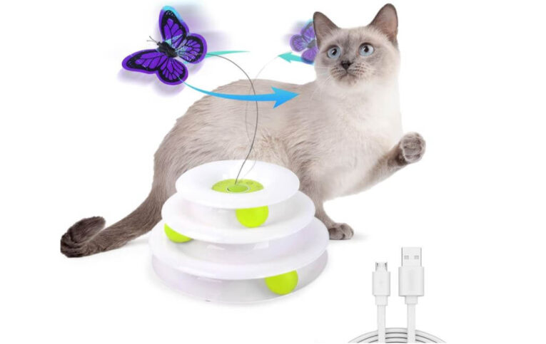 Best Interactive Cat Toys for Bored Cats