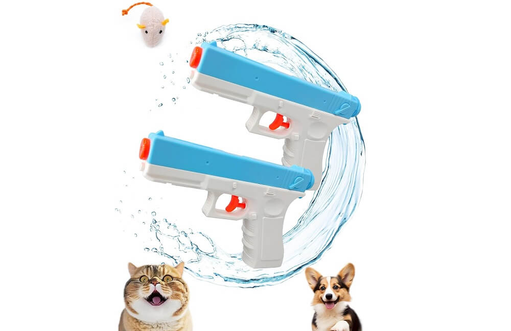 Best Squirt Gun for Cat Training