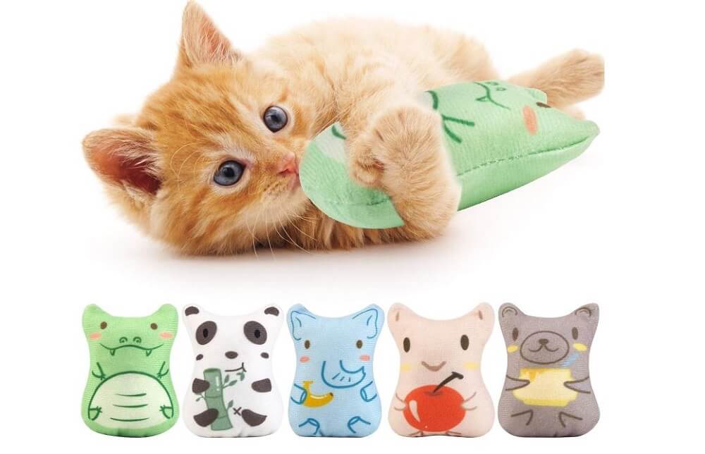 Teething Toys for Kittens