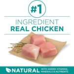 natural key ingredients dog food