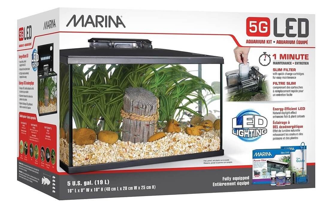 Best 5 Gallon Aquariums for Betta Fish