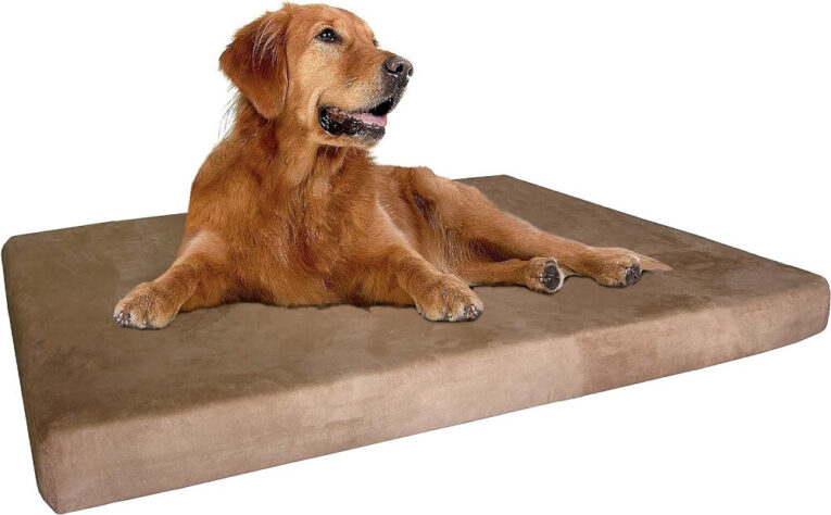 Best Cooling Orthopedic Dog Beds