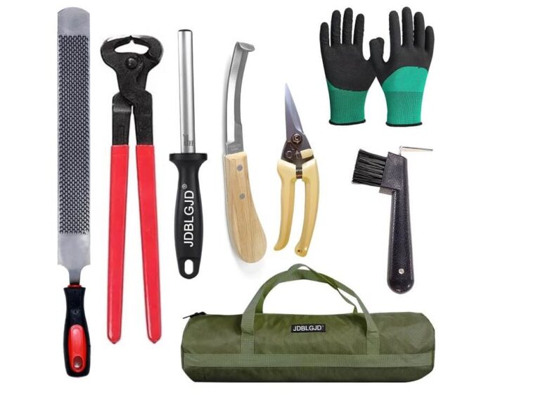 Best Farrier Tool Kit for Horses