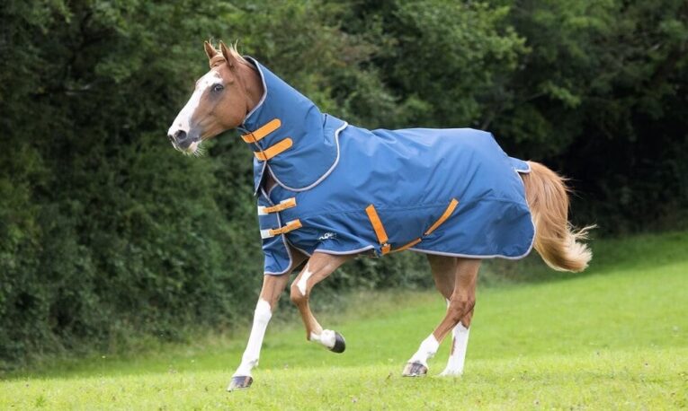 Best Lightweight Waterproof Horse Rugs