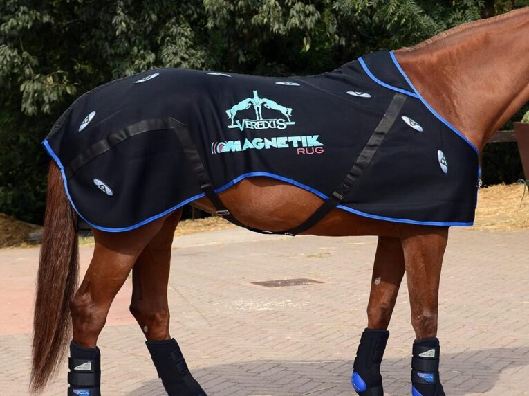 Best Magnetic Rugs for Horses