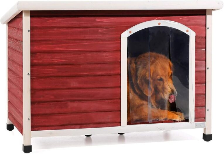 Best Outdoor Winter Dog House