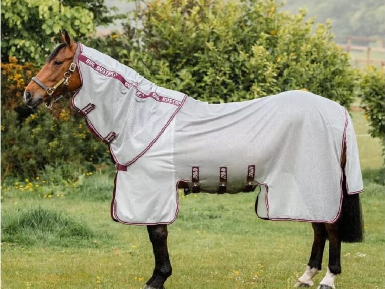 Best UV Protection Fly Sheet for Horses