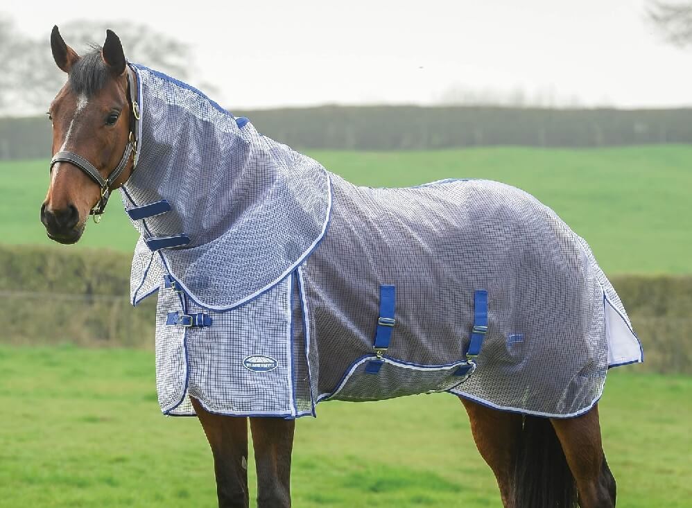 Best fly sheets for horses in hot weather