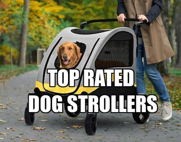 Top Rated Strollers for Dogs