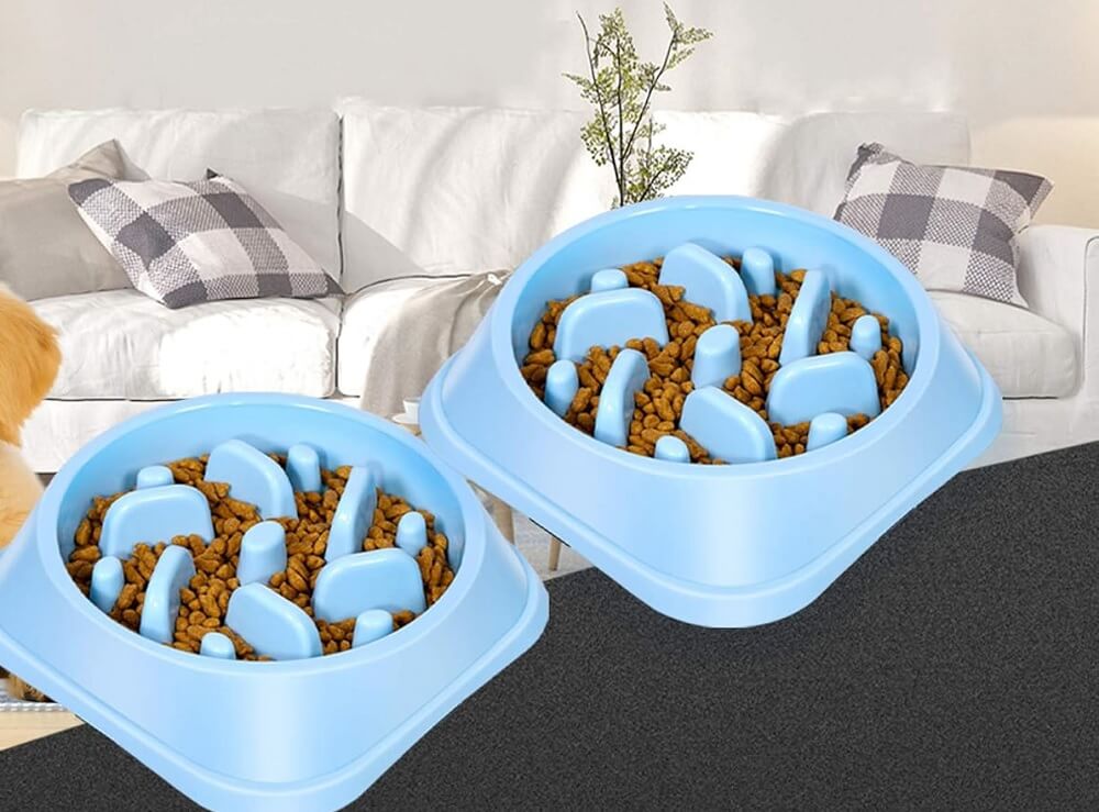 Best Slow Feeder Bowl for Dachshund