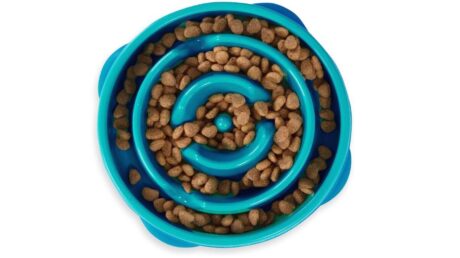 best slow feeder bowl for dachshund dogs
